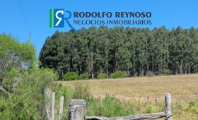 10 ha. en San José (ER)